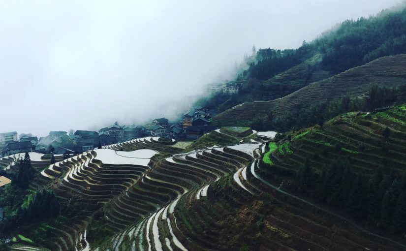 龙脊梯田