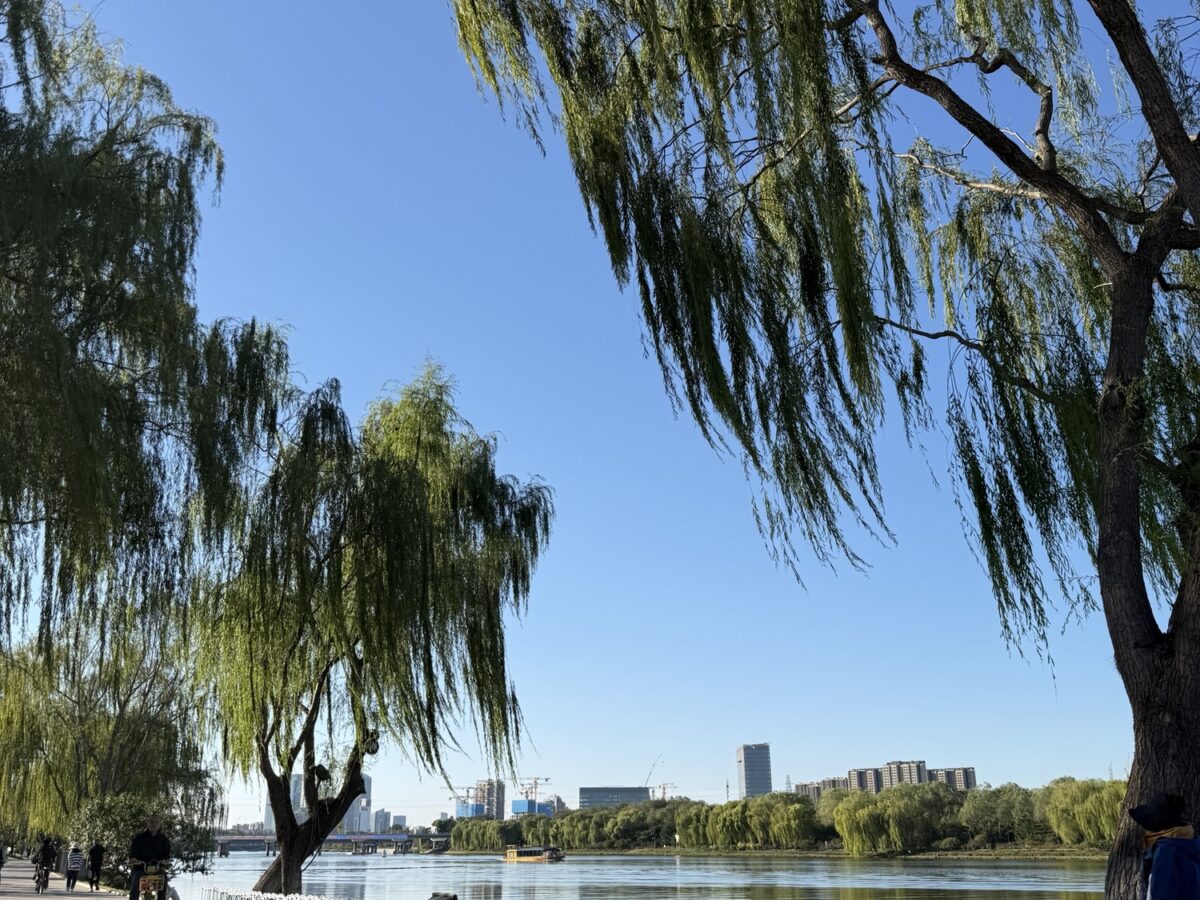 回乡又偶记